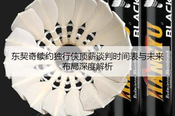 东契奇续约独行侠顶薪谈判时间表与未来布局深度解析